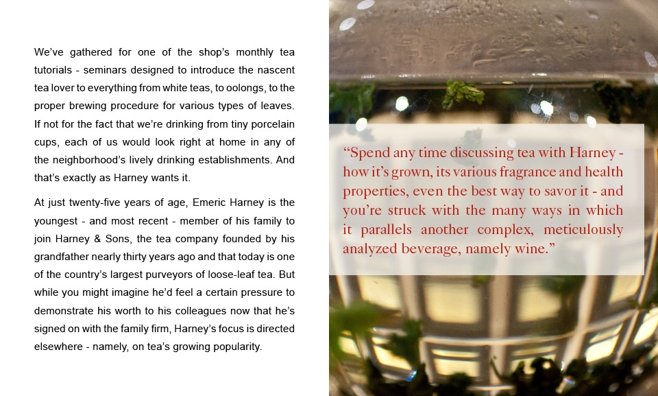 TRGAFIELD002LAYOUTV23