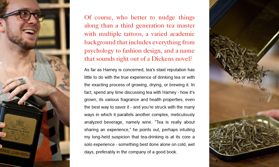 TRGAFIELD002LAYOUTV24