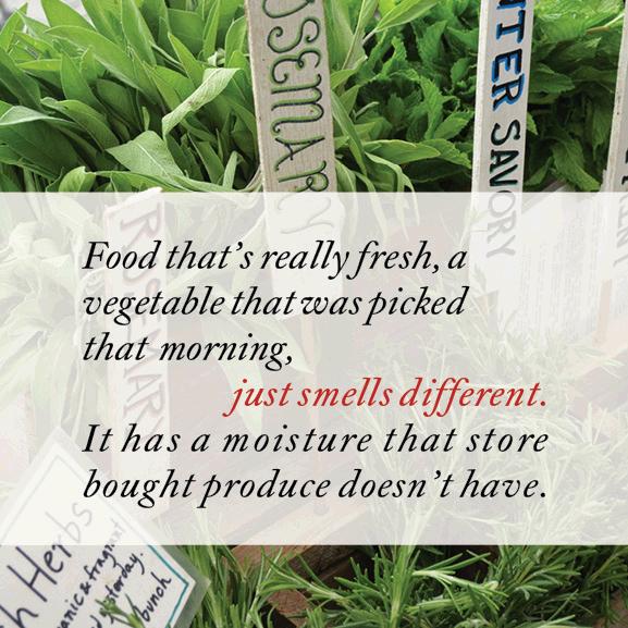 TRGAFLIELD01FEATUREIMAGES1